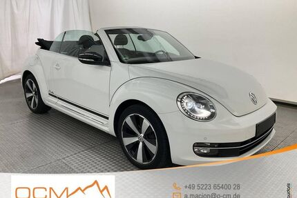 VW Beetle Gebrauchtwagen