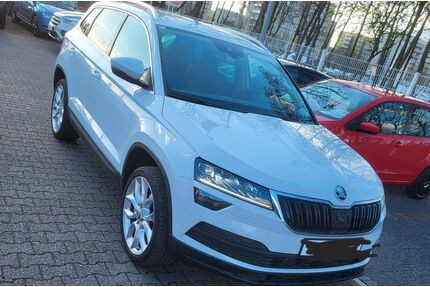 Skoda Karoq Gebrauchtwagen
