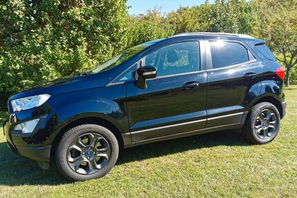 Ford EcoSport Gebrauchtwagen