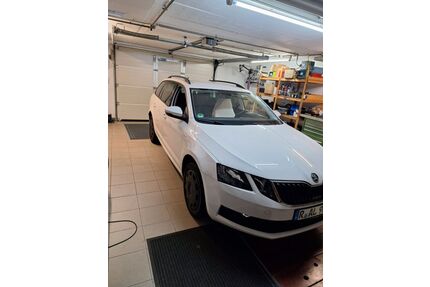 Skoda Octavia Gebrauchtwagen