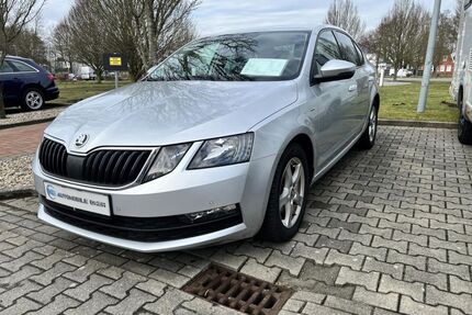 Skoda Octavia Gebrauchtwagen
