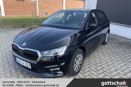 Skoda Fabia Gebrauchtwagen