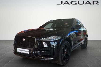 Jaguar F-Pace Gebrauchtwagen