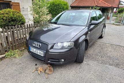 Audi A3 Gebrauchtwagen