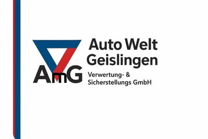 Ford B-Max Gebrauchtwagen