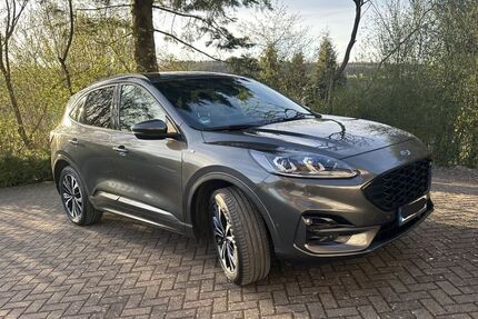 Ford Kuga Gebrauchtwagen