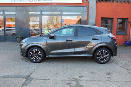 Ford Puma Gebrauchtwagen