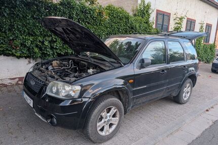 Ford Maverick Gebrauchtwagen