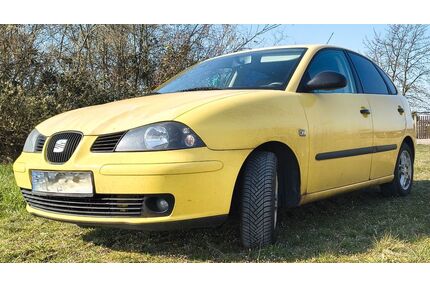 Seat Ibiza Gebrauchtwagen