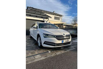 Skoda Superb Gebrauchtwagen