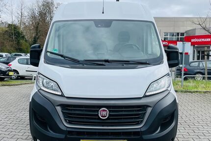 Fiat Ducato Gebrauchtwagen