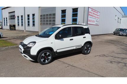 Fiat Panda Gebrauchtwagen
