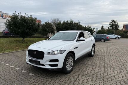 Jaguar F-Pace Gebrauchtwagen