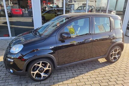 Fiat Panda Gebrauchtwagen