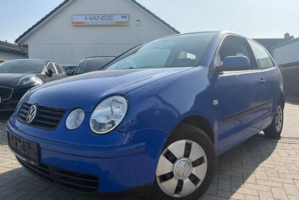 VW Polo Gebrauchtwagen