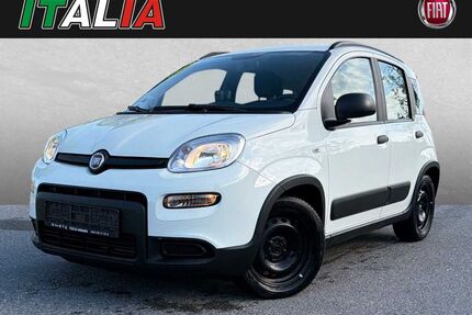 Fiat Panda Gebrauchtwagen