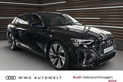 Audi Q8 e-tron Gebrauchtwagen