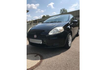 Fiat Punto Gebrauchtwagen