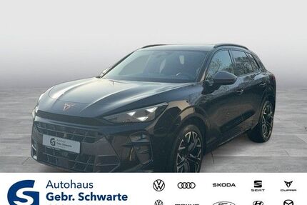 Cupra Terramar Gebrauchtwagen