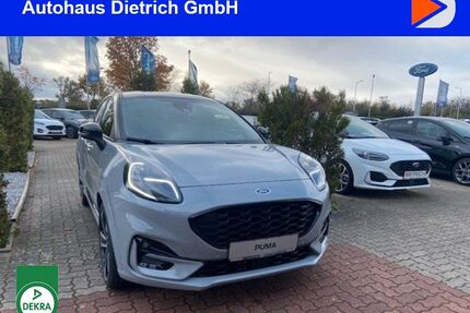 Ford Puma Gebrauchtwagen
