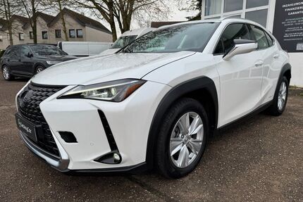 Lexus UX Gebrauchtwagen