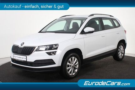 Skoda Karoq Gebrauchtwagen