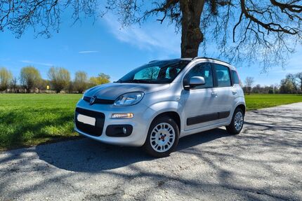 Fiat Panda Gebrauchtwagen