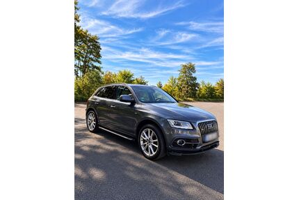 Audi SQ5 Gebrauchtwagen