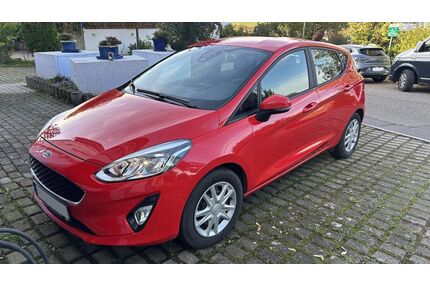 Ford Fiesta Gebrauchtwagen