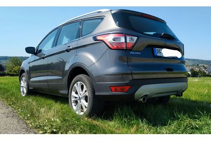 Ford Kuga Gebrauchtwagen