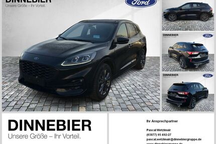 Ford Kuga Gebrauchtwagen