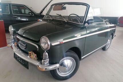 Fiat 500 Gebrauchtwagen