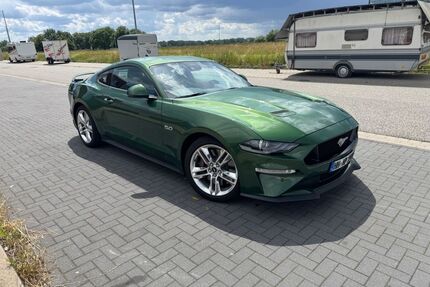 Ford Mustang Gebrauchtwagen