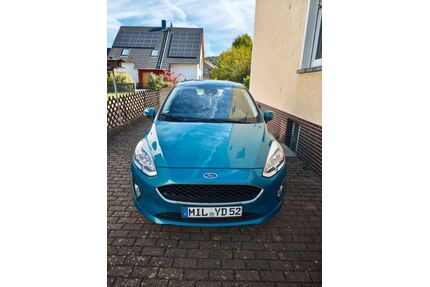 Ford Fiesta Gebrauchtwagen