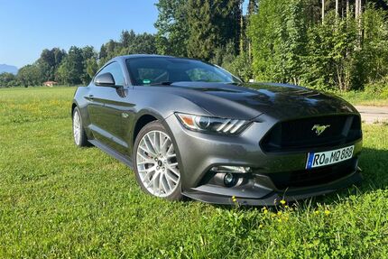 Ford Mustang Gebrauchtwagen