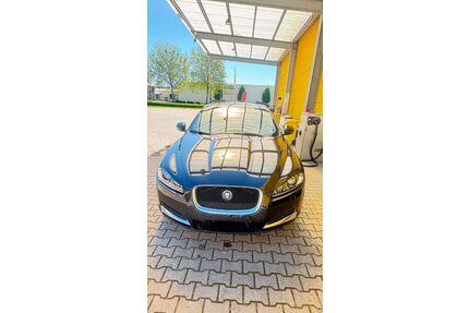 Jaguar XF Gebrauchtwagen