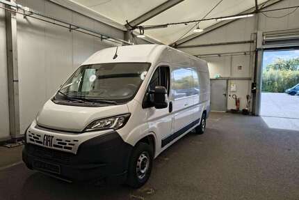 Fiat Ducato Gebrauchtwagen