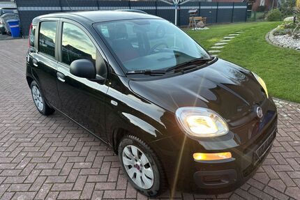 Fiat Panda Gebrauchtwagen