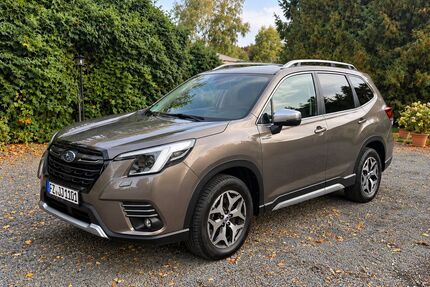 Subaru Forester Gebrauchtwagen