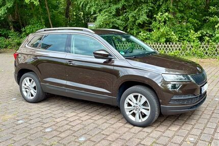 Skoda Karoq Gebrauchtwagen