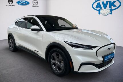 Ford Mustang Mach-E Gebrauchtwagen