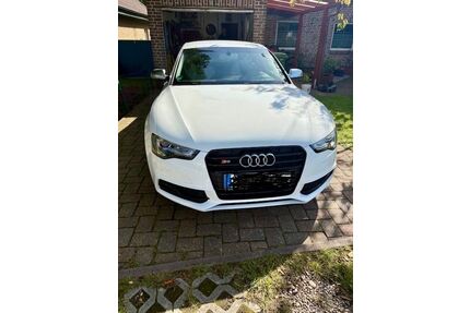 Audi S5 Gebrauchtwagen