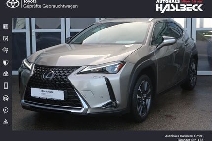 Lexus UX Gebrauchtwagen