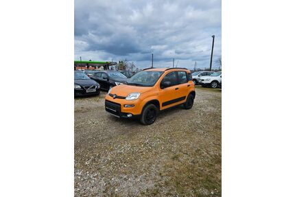 Fiat Panda Gebrauchtwagen