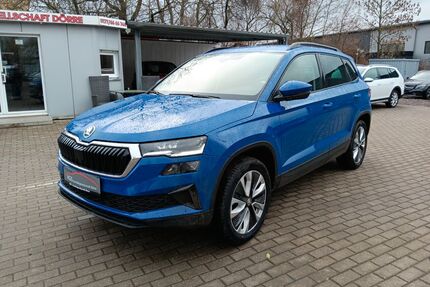 Skoda Karoq Gebrauchtwagen