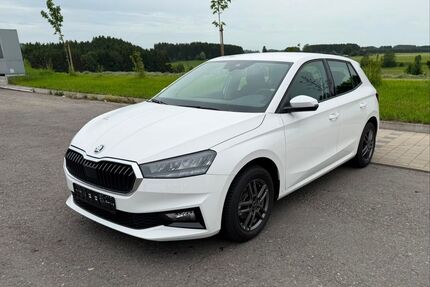 Skoda Fabia Gebrauchtwagen