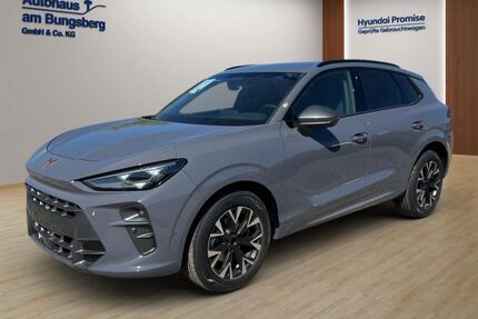 Cupra Terramar Gebrauchtwagen