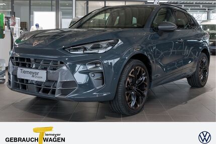 Cupra Terramar Gebrauchtwagen