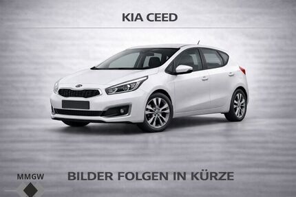 Kia ceed / Ceed Gebrauchtwagen