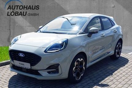 Ford Puma Gebrauchtwagen